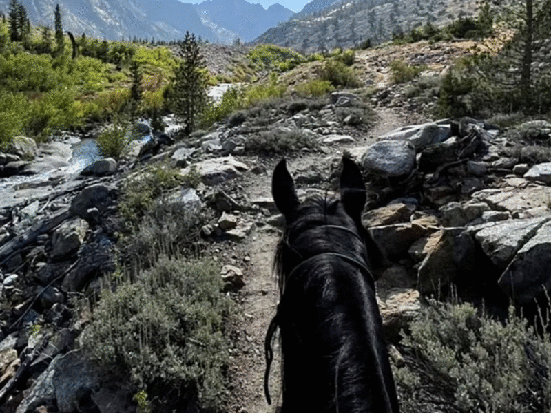 John Muir Trail: Pack Trips